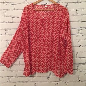 Semi Sheer long sleeve blouse